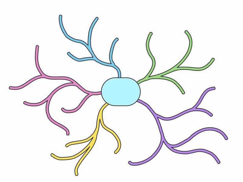 メモリーツリー記憶術 作り方 使い方を図解で説明 さとるの記憶術